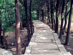 -崂山巨峰游览区
