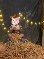 -小木马国际儿童摄影