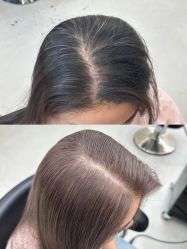 -蚂蚁造型俱乐部