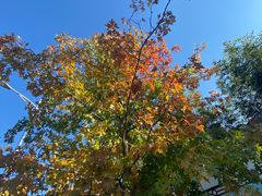 -北京西山国家森林公园