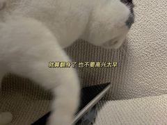 -Apple零售店(新街口店)
