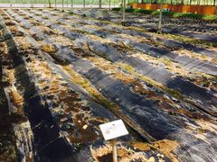 -上海多利农业发展有限公司