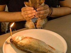 -老四川平头酸菜鱼(衙前店)