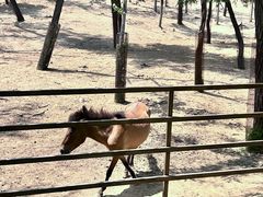 -秦皇岛野生动物园