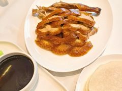 -洋洋中餐馆·SINCE 1997(龙湖星湖天街店)