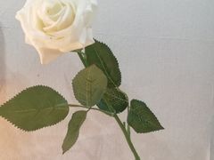 -大四喜沙拉(四条巷店)