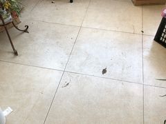 -美猴帮帮家政 保洁清洗长沙