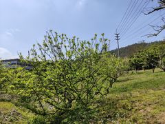 -中国移动南方基地