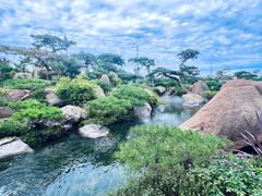 -罗红摄影艺术馆