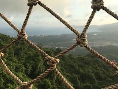 -三亚亚龙湾人间天堂鸟巢度假村