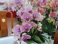 -谦和素食自助餐(云峰花园店)