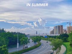 -宝安西湾红树林湿地公园
