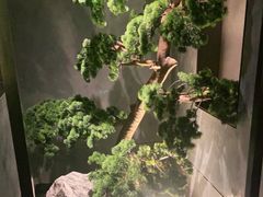 -百富源·海鲜辽菜(浑河堡店)