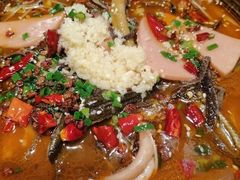 -扬州狮子楼·非遗淮扬菜(东关街店)