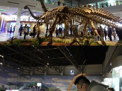 -自贡恐龙博物馆