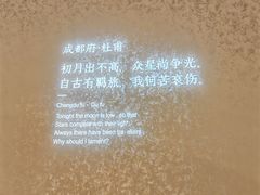 -蜀九香火锅(彩虹店)