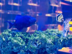 -上和臻品中国菜(花园街店)