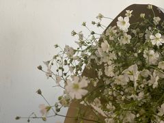 -双季花艺园艺市场(浦东店)