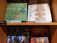 -新华文创·光的空间