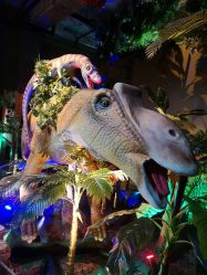 -恐龙探索乐园(磁器口店)