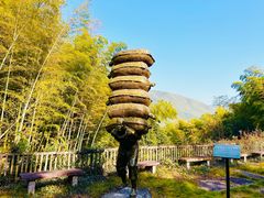 -宁波浙东大竹海景区