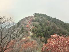 -青州仰天山