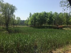 -东郊湿地公园