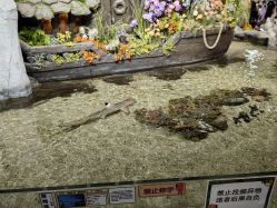 -Zoolung Zoolung动物主题公园(海信广场店)