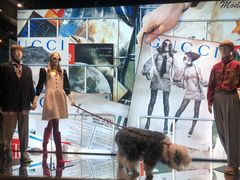 -Gucci(北京SKP店)