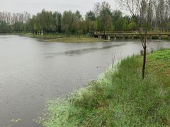 -东郊湿地公园