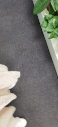 -斐尔国际皮肤管理中心