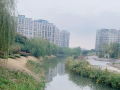 -新江湾城公园