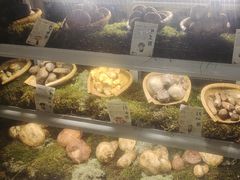 -滇野云南野生菌餐厅(陕西南路店)