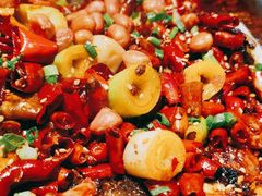 -锦尚阁烤鱼(望京新荟城店)