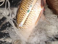 铁锅炖灶台鱼-铁锅炖灶台鱼老三炖鱼馆