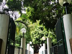 -九龙公园