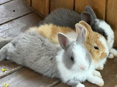 -HERRE·FARM 赫尔露营农场·团建聚会包场