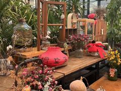 -北马山庄植趣咖啡