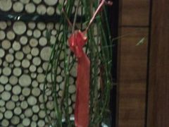 -水善汇温泉洗浴汗蒸会馆(中泽城店)