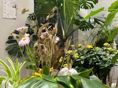 -花十悦·鲜花咖啡餐厅(振业城一期店)