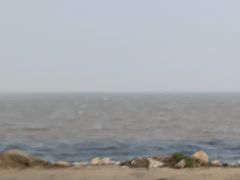 -贝林大翅鲸简餐厅(国家海洋博物馆店)