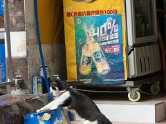 门面-源记肠粉(华贵路店)