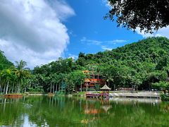 -西双版纳原始森林公园