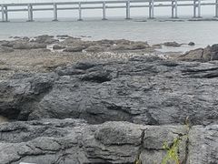 -辰熙ACX星海艺术中心