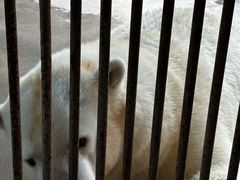 -泉城欧乐堡海洋极地世界