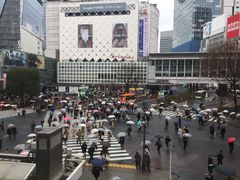 -涩谷区