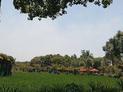 -洪湖家庭农场·团建·露营·会议