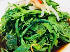酸辣香香菜-马旺子酒楼