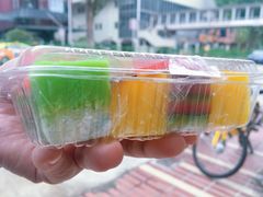 -金珠肉粽