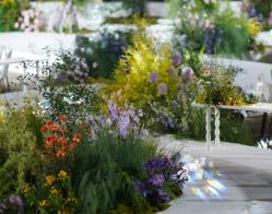 -天邑国际酒店·宴会厅